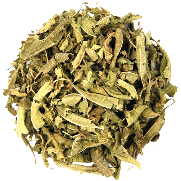 l’Herboriste verveine